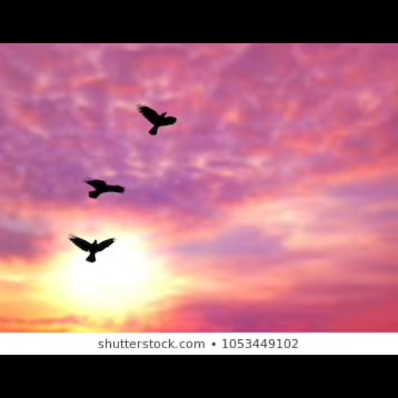 Meet your Posher, Kandyce - Picture 1 of 1